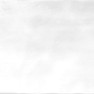 Плитка Style 007 20*60/1,92/16 ALMA CERAMICA — изображение 1