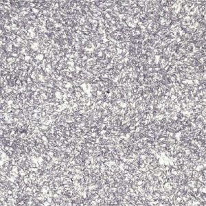 Мастер Силк 25 — изображение 1