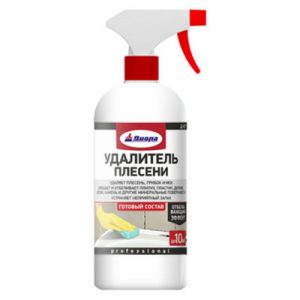 УДАЛИТЕЛЬ ПЛЕСЕНИ 0,9л Д-627 — изображение 1