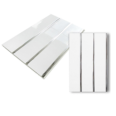 a4575331d56d11e2ac4a005056870009_1