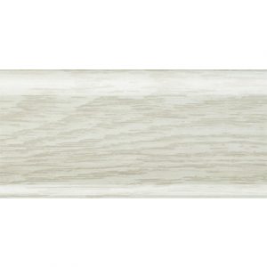 ПЛИНТУС ТОПОЛЬ КАНАДСКИЙ RICO LEO — изображение 1