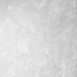 Обои виниловые Odyssey 287585 (фон) 1,06*10м/6/Victoria Stenova — изображение 1