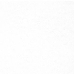 Плитка облицовочная Monocolor 0200 24,9*50/1,494/12 ALMA CERAMICA — изображение 1