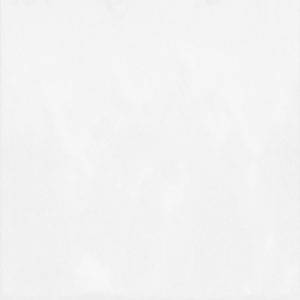 Плитка облицовочная Monocolor 030 24,9*50/1,37/11 ALMA CERAMICA — изображение 1