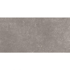 Керамогранит Coral Rock темно-серый 30*60/1,62/9 GlobalTile — изображение 1