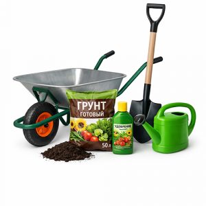 Сад и огород