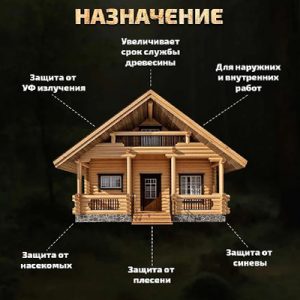 Антисепт д/дер улич ВДПФ-1601 FORWOOD орех 9л — изображение 2